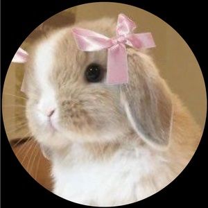 Meet your Posher, Esther